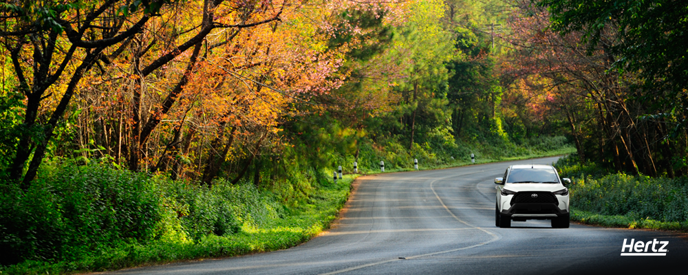 Corporate Traveller South Africa The Group A car rental rethink Hertz co-op